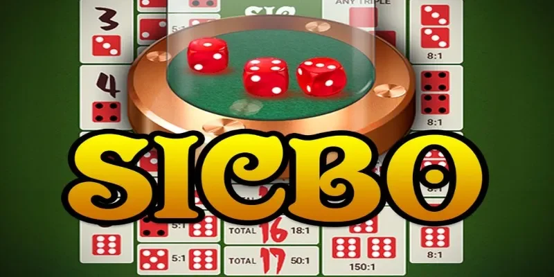 Sicbo Là Gì? Khám Phá Luật Chơi Và Cách Cược Tại 23Win 2026 6 Sicbo Là Gì?